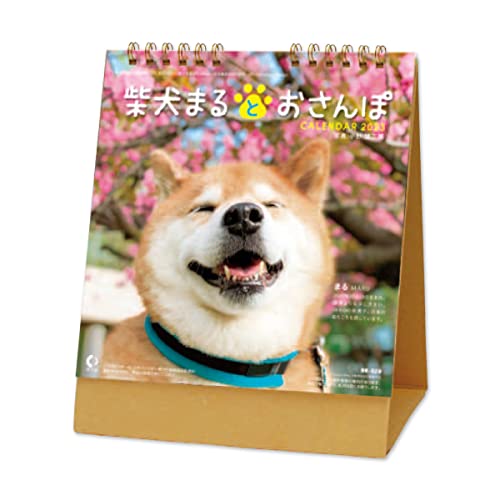 新日本カレンダー 卓上 柴犬まるとおさんぽ 2023年 カレンダー 卓上 CL23-0393 白 送料　無料