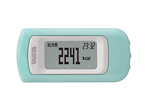 活動量計 EZ-064 ミント 送料 無料 活動量計 EZ-064 ミント 送料 無料