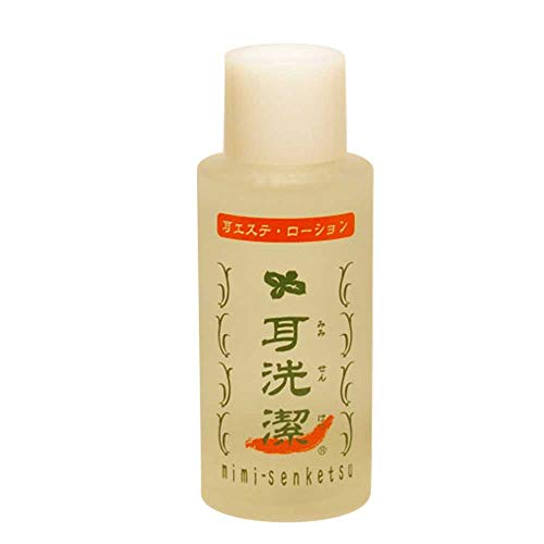 耳洗潔 80ml 送料 無料