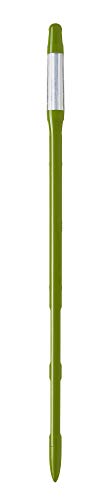 ӥΥ SUSTEE å ƥ L ꡼ C-0013-GR ̵