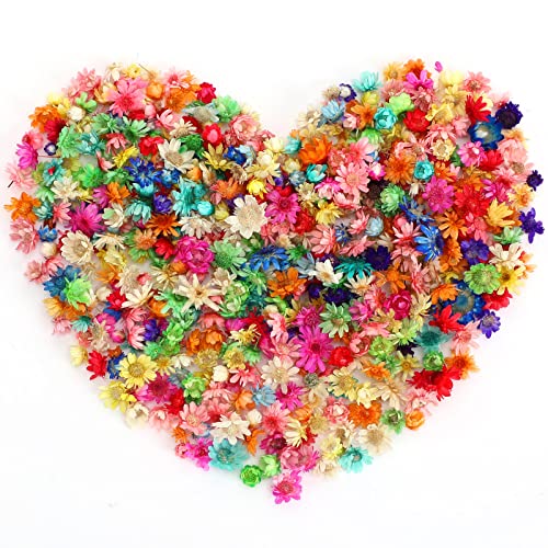 Neiang ドライフラワー レジン用 400個入り 押し花 乾燥シート レジン ドライフラワー ドライフラワー 花材 ホログラム パーツ マル