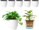 4U 15CM 給水プランター プラスチック 植木鉢 現代風 観葉植物鉢 ハーブ鉢 花鉢 ホワイト 6点セットインテイア 室内 給水ひも付き