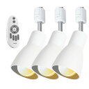 Selou ダクトレール用 スポットライト E6口金 ダクトレール ライト 照明器具 90W相当 調光 調色 付き 消費電力9W 光量880M