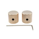 Pro 1/4スチールノブ フラットトップノブ 横ネジ式 ミリ/インチ規格兼用テレキャスターエレキギター/PBプレシジョンベース用、ゴールド(