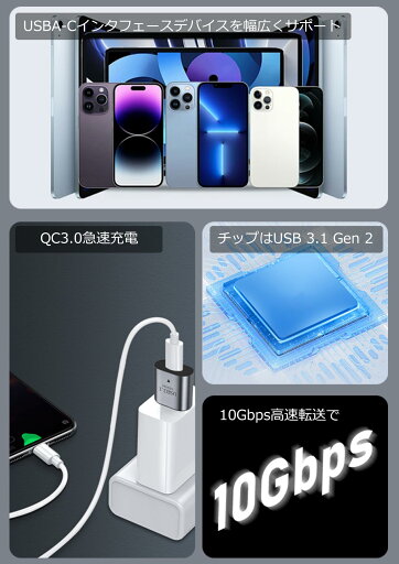B ype 変換アダプタ、B 3.1 B メス to B 3.1 BA オス 変換 アダプター、10Gbps高速データ転送、36急速充電、O