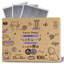 カーボン ペットシーツ 厚型 レギュラー 100枚 炭入り 犬 トイレシート 消臭 ペットシート 猫 うさぎ ペット おし