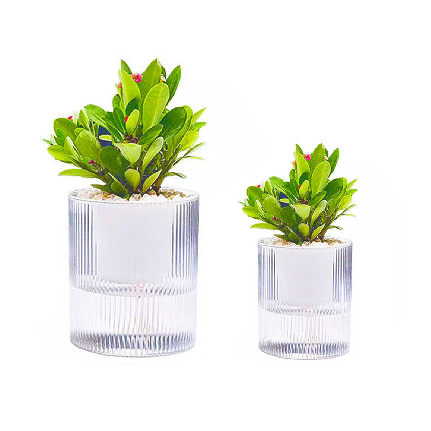 植木鉢 観葉植物鉢 プラスチック 自動水やり 自動給水キャップ プランター 直径15/10c ハーブ鉢 排水穴..