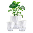 植木鉢 観葉植物鉢 プラスチック 自動水やり 自動給水キャップ プランター 直径20/15/12c ハーブ鉢 排水穴 お洒落 おしゃれ 室外室(4)