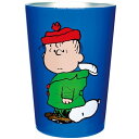 大西賢製販 PEANUTS ステンレスタンブラー LN/BL サイズ:約φ8.6 H12 PM1803