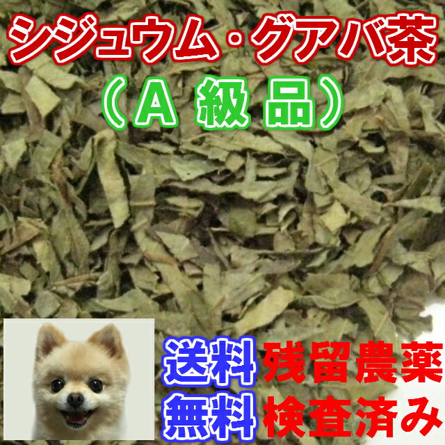 健康茶「グアバ茶」A級品(シジュウム茶)チャック付新鮮真空パック100g【メール便送料無料】残留農薬検査済みお茶 健康茶 ハーブティー 通販 通信販売 ネット販売 グァバ茶 シジュウムグアバ 送料無料 お徳用 100g