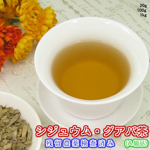 健康茶「グアバ茶」A級品(シジュウム茶)お試しパック30g【メール便送料無料】残留農薬検査済みお茶 健康茶 ハーブティー 通販 通信販売 ネット販売 グァバ茶 シジュウムグアバ 送料無料 お試し サンプル