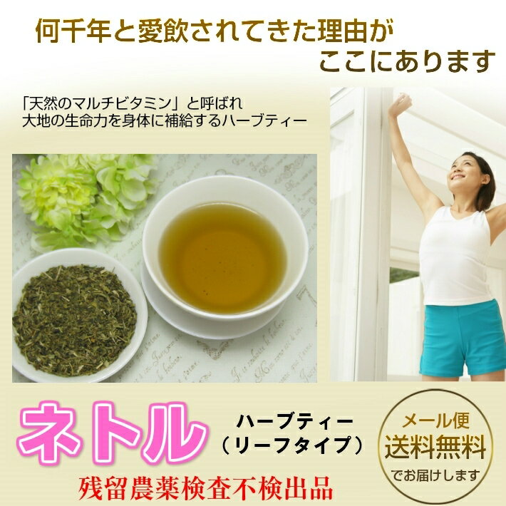 工場直送 ハーブティー ネトル 業務用真空パック1kg 500gx2 残留農薬検査済み 送料無料 ネトルティー ねとる お茶 健康茶 ハーブティー 通販 通信販売 ネット販売 リラックス 送料無料 徳用 メガ盛り 新入荷 最安値 Www Ugtu Net 工場直送 ハーブティー ネトル 業務用真空パック1kg 500gx2 残留農薬検査済み 送料無料 ネトルティー ねとる お茶 健康茶 ハーブティー 通販 通信販売 ネット販売 リラックス 送料無料 徳用 メガ盛り 新入荷 最安値 Www Ugtu Net