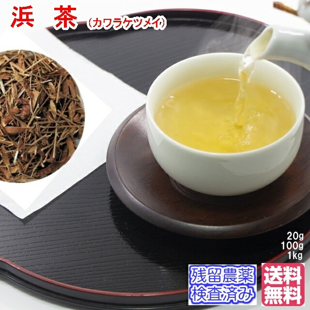 浜茶 はま茶 カワラケツメイ茶（焙じ 茶葉）リーフタイプ「新鮮パック」送料無料【残留農薬検査済み】お茶 健康茶 ハーブティー おすすめ お買い得 通販 通信販売 ネット販売 まめ茶 豆茶 ハマ茶 かわらけつめい茶 河原決明 徳用 業務用 真空パック お試し サンプル