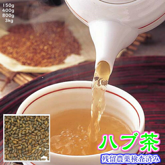 健康茶「ハブ茶」★A級品(エビスグサの種)チャック付新鮮真空