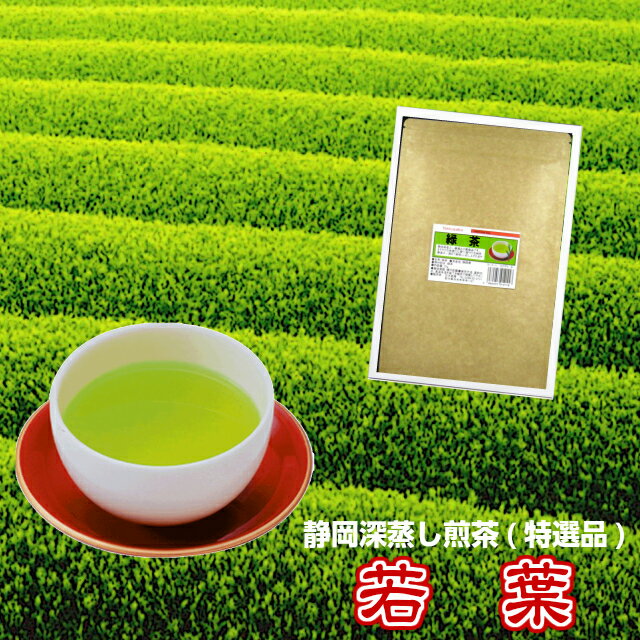 深蒸し茶《静岡茶》普段飲み「若葉印」特選品 お試しパック(60g)（新鮮真空パック）【メール便送料無料】お試し 検索キーワード：お茶 日本茶 緑茶 茶 煎茶 深蒸し煎茶 ふかむし茶 カテキン 健康 ダイエット まかない茶 普通茶 お試し