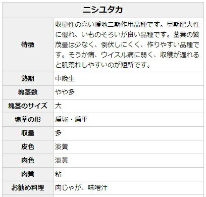 【種ジャガイモ・種いも】「ニシユタカ」の種じゃがいも　約500g入【春ジャガイモ用12月上旬〜2月下旬発送：秋ジャガイモ用7月下旬〜8月下旬発送】