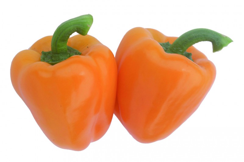 楽天市場 苗 野菜苗 春植え野菜苗 とうがらし ししとう ピーマン パプリカ苗 デルモンテのパプリカ ししとう 日光種苗