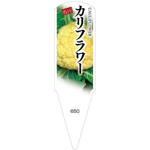 野菜苗用ラベル　カリフラワー　オレンジ　100枚入　No650