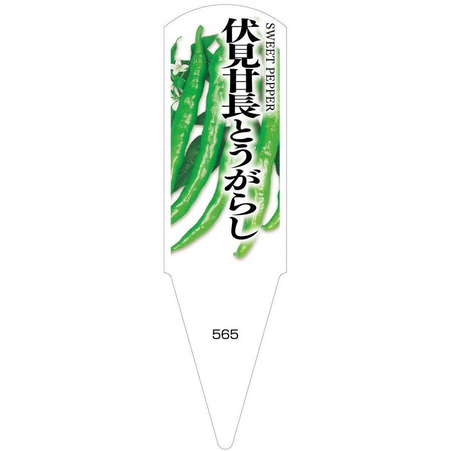 野菜苗用ラベル　伏見甘長とうがらし　100枚入　No565　【メーカー直送】