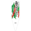 野菜苗用ラベル 札幌大長とうがらし 100枚入 No566