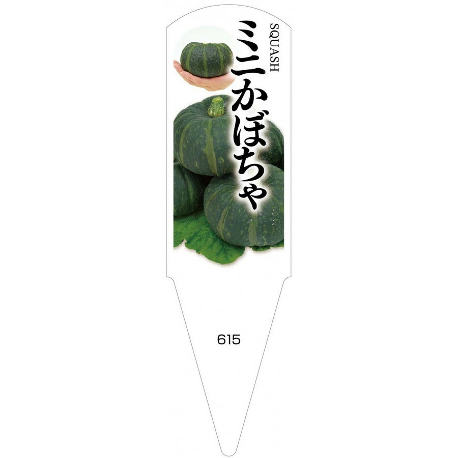 ѥ٥롡ߥˤܤ㡡100No615ڥ᡼ľ
