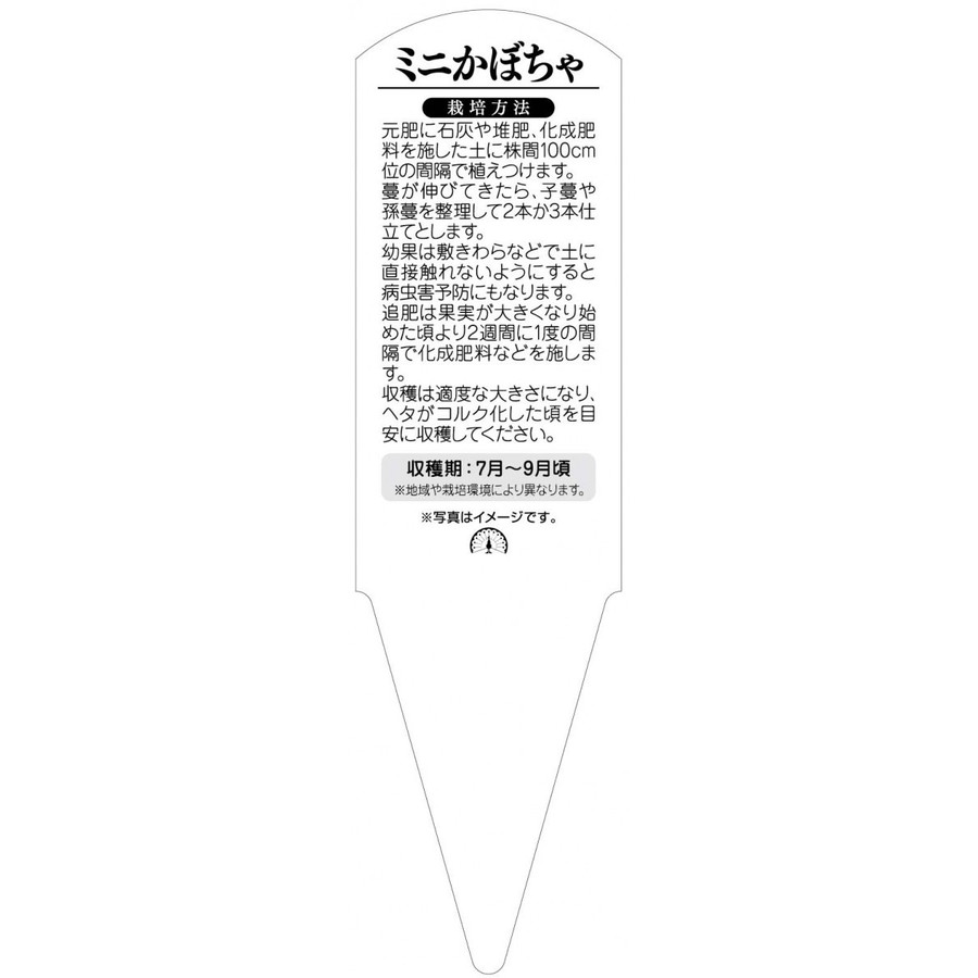 日光種苗の野菜苗用ラベル　ミニかぼちゃ　100枚入　No615　【メーカー直送】｜アングル2