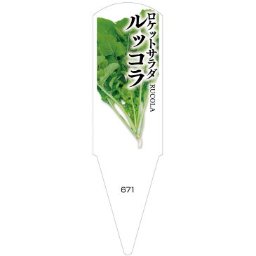 野菜苗用ラベル　ルッコラ　ロケットサラダ　100枚入　No671