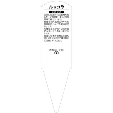 野菜苗用ラベル　ルッコラ　ロケットサラダ　100枚入　No671