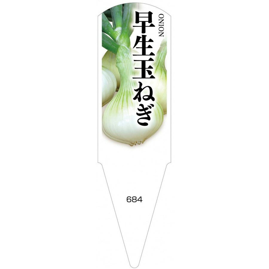 野菜苗用ラベル　早生玉ねぎ　100枚入　No684