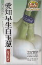 松永種苗 愛知早生白玉葱 3ml【郵送対応】