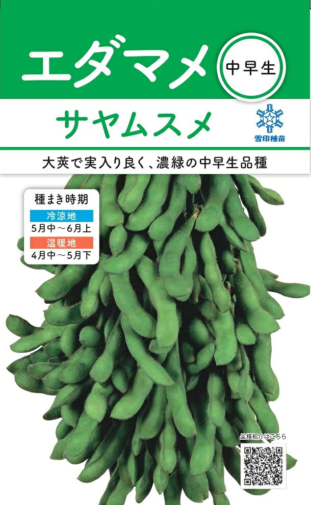 雪印種苗「エダマメ サヤムスメ」のタネ　[内容量:30ml]