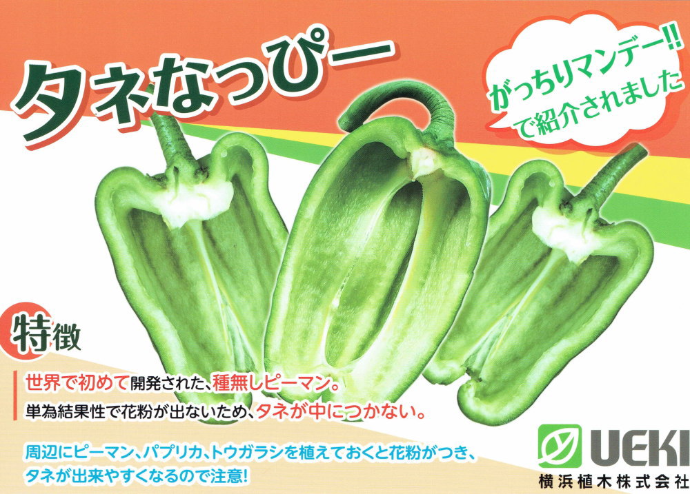 ���ͤʤ��ԡ��ޥ���� �֥��ͤʤäԡ���10.5cm�ݥåȡ�4����ܡ�5����ȯ��ʬͽ��ۡ��ʼ�̾�����͡���_��Ͽ�ֹ桧��28906��_�������жػߡ�