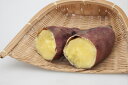 カネコ種苗のつる取り用親株さつまいも苗「ベニアズマ」9cmポット【発送時期:5月上旬~5月下旬】【品種名:ベニアズマ】