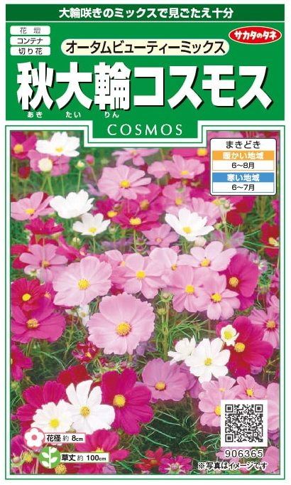 サカタのタネ　秋大輪コスモス　オータムビューティーミックス　[内容量：2ml]