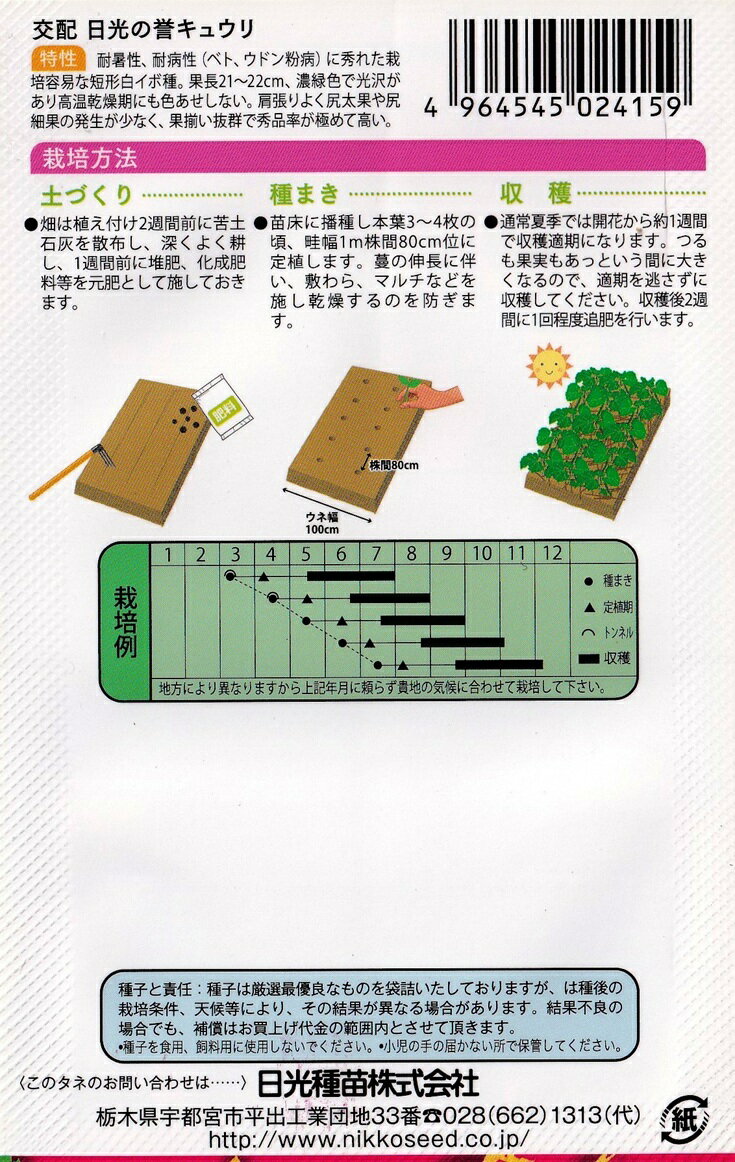 日光種苗　交配　日光の誉きゅうりのタネ　[内容量：1ml]【2415】【春】（胡瓜、キ...