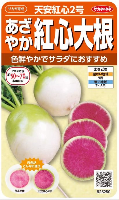 サカタのタネ　あざやか紅心大根　天安紅心2号 8ml【郵送対応】のサムネイル