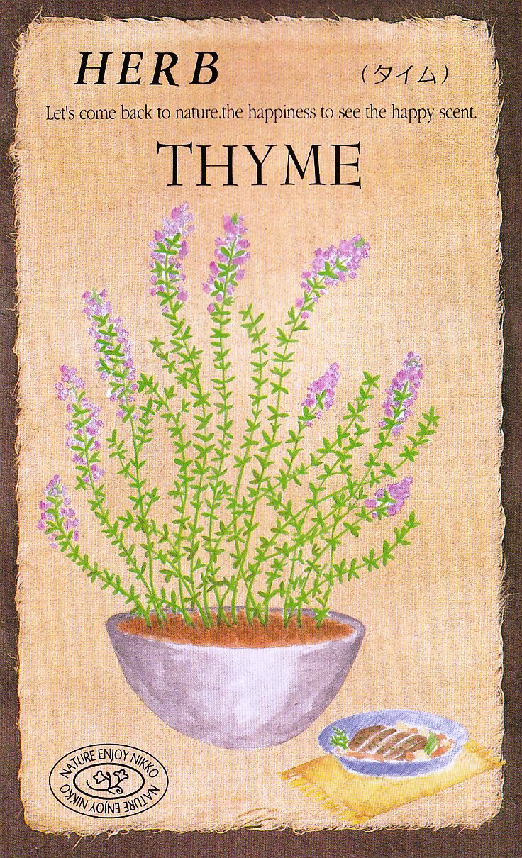 日光種苗　ハーブ「タイム【805】」のタネ　[内容量：0.2ml（約400粒）]