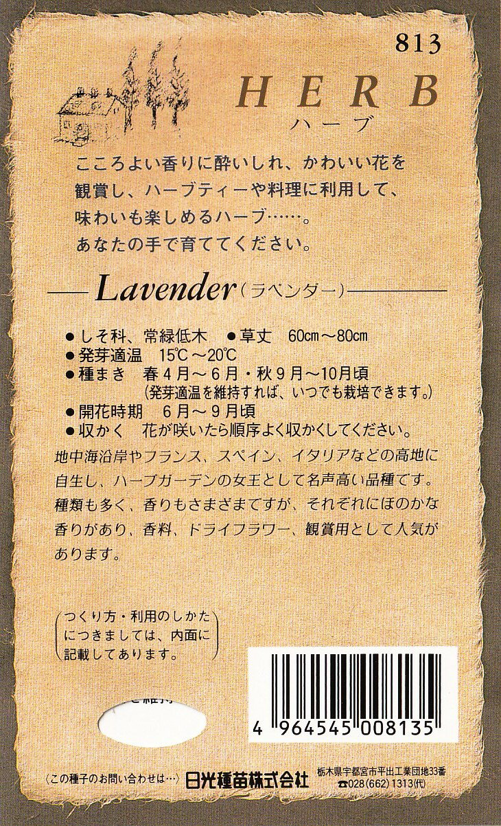 日光種苗　ハーブ「ラベンダー【813】」のタネ　[内容量：0.1ml（約40粒）]