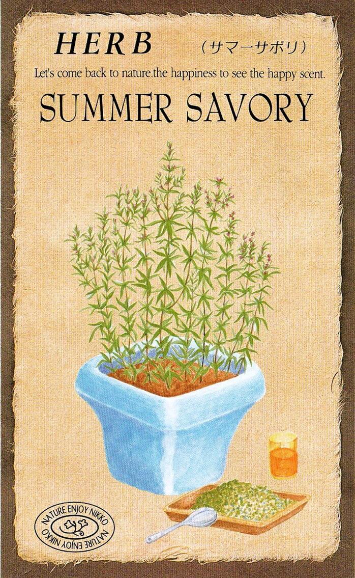 日光種苗　ハーブ「サマーサボリー【819】」のタネ　[内容量：0.2ml（約150粒）]