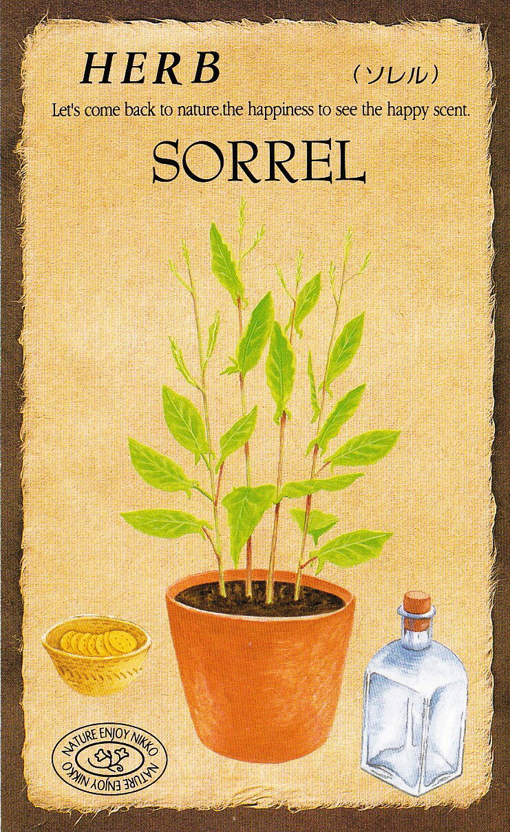 日光種苗　ハーブ「ソレル【834】」のタネ　[内容量：0.2ml（約100粒）]