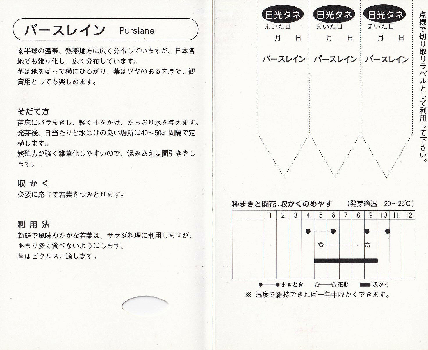 日光種苗　ハーブ「ゴールデンパースレイン【836】」のタネ　[内容量：0.1ml]