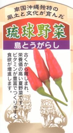 琉球野菜苗「島とうがらしの苗」9cmポット【4月中旬～5月上旬発送分予約】