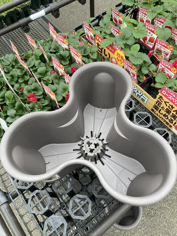 ずらして、重ねて、立体花壇！　いちご栽培やハーブ栽培に最適！「ハーベリーポッ...