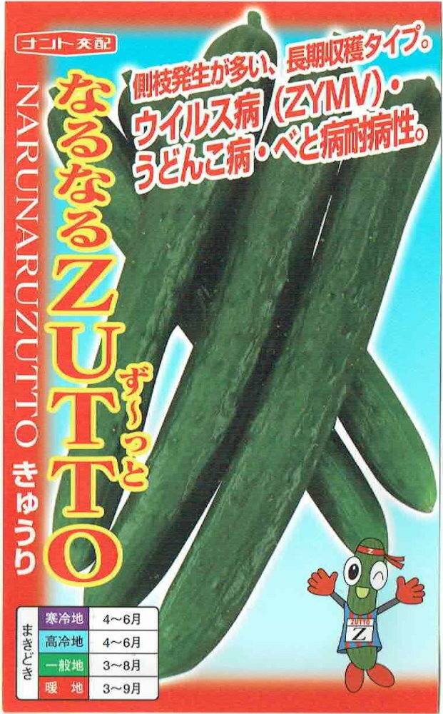 ナント種苗　キュウリ　「なるなるZUTTO」のタネ　約18粒