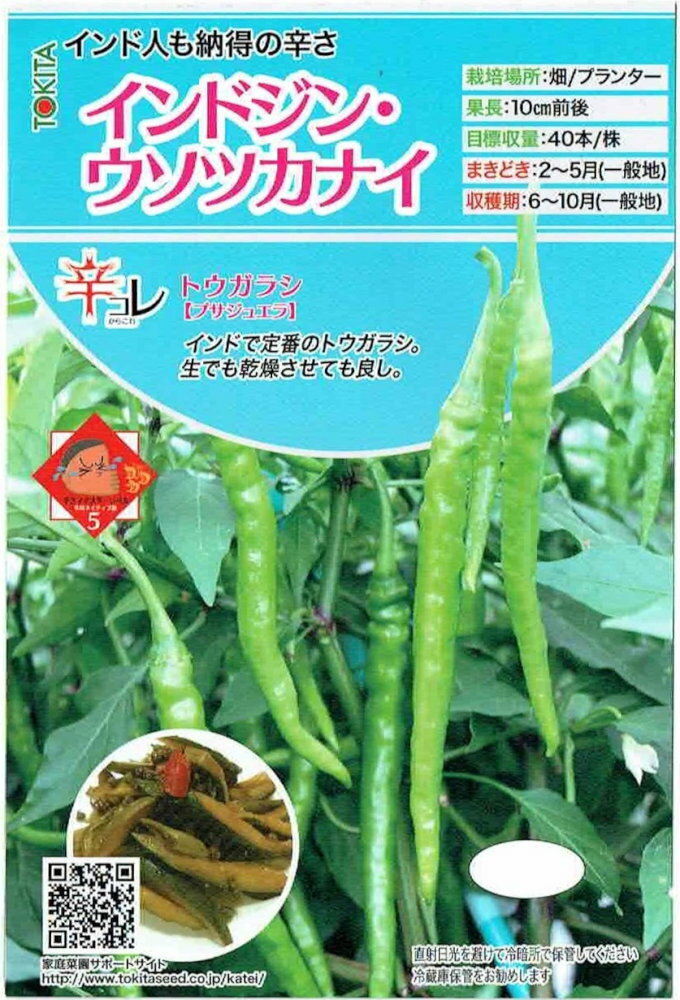 トキタ種苗　トウガラシ　「インドジン・ウソツカナイ」のタネ　[内容量：約20粒]