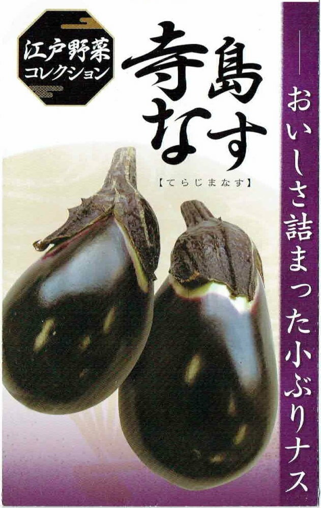 日本農林社　「寺島なす」のタネ　約40粒