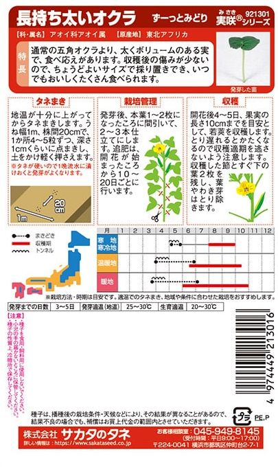 サカタのタネ　長持ち太いオクラ「ずーっとみどり」のタネ　4ml