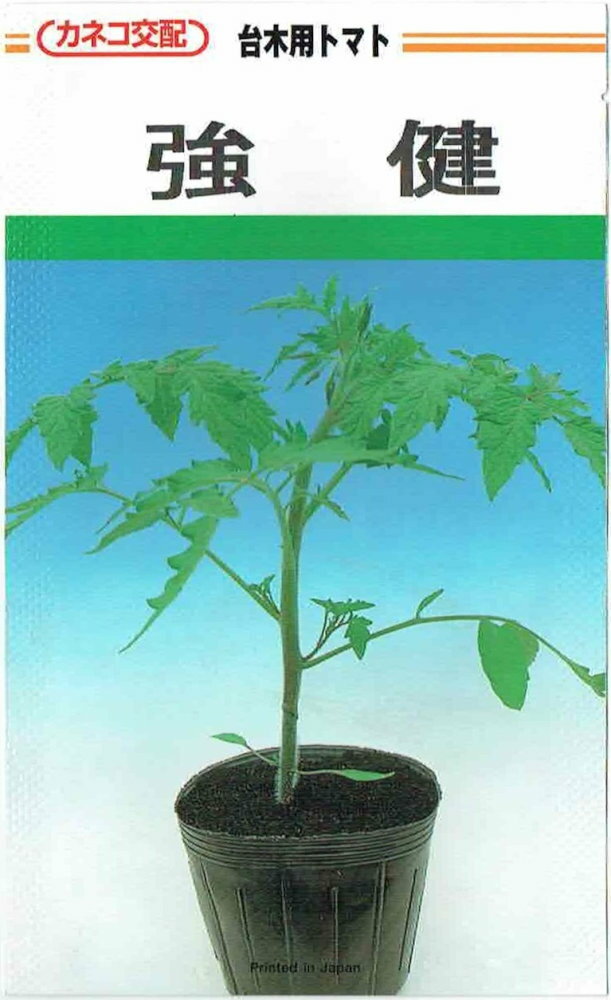 カネコ種苗　台木用トマト「強健」のタネ　[内容量：約100粒]