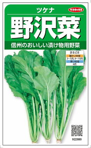 サカタのタネ　ツケナ「野沢菜」のタネ　10ml