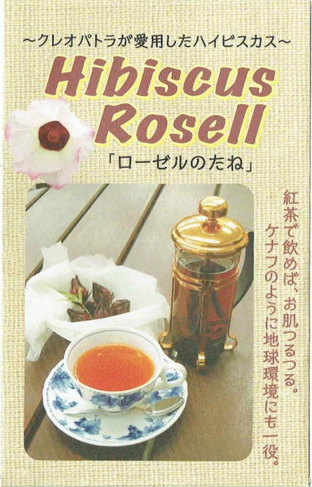 福花園種苗　「ハイビスカス ローゼル」のタネ　0.5ml